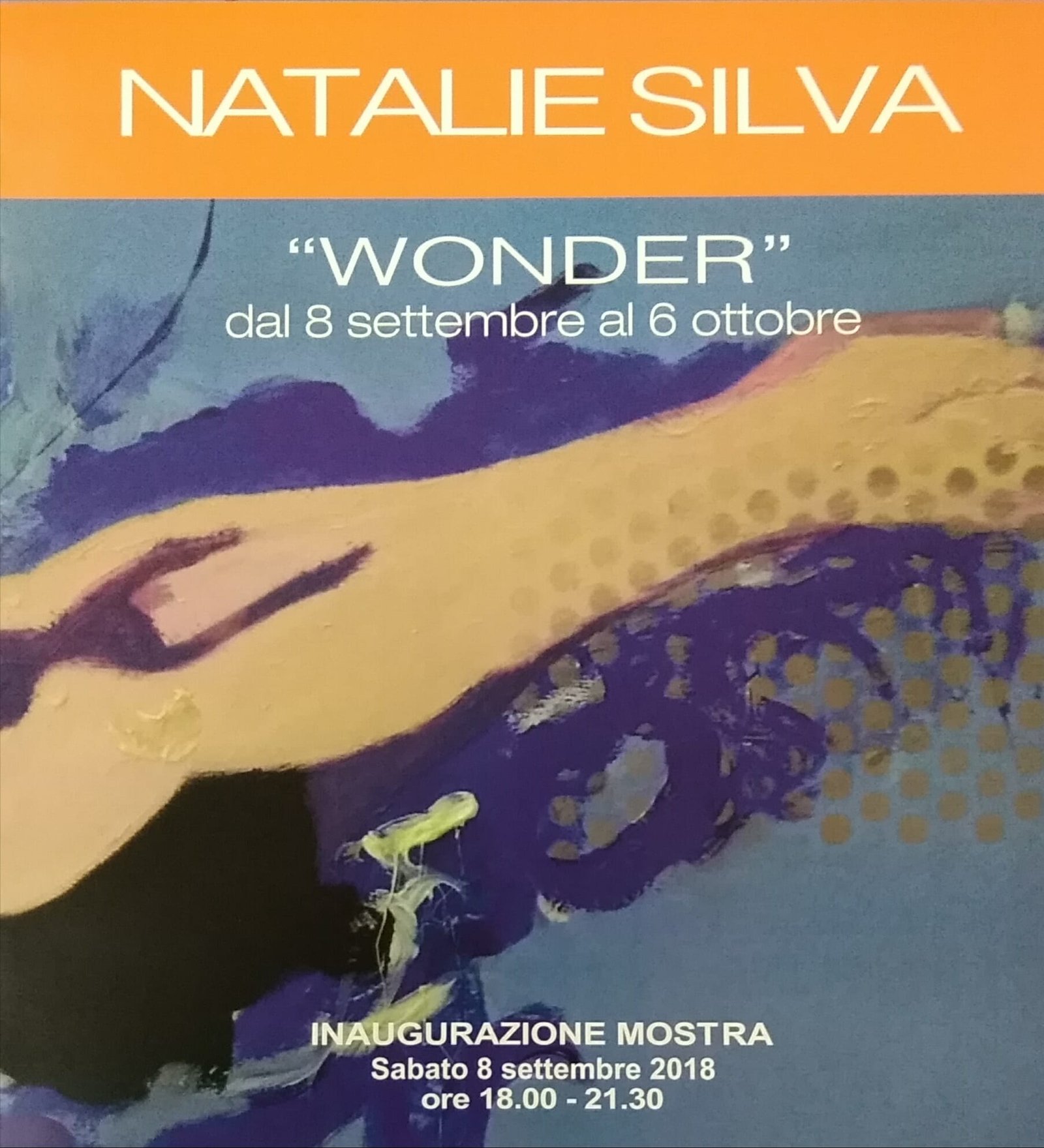 Wonder