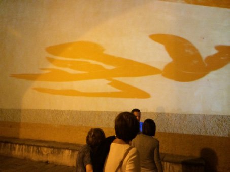 Projections #1
